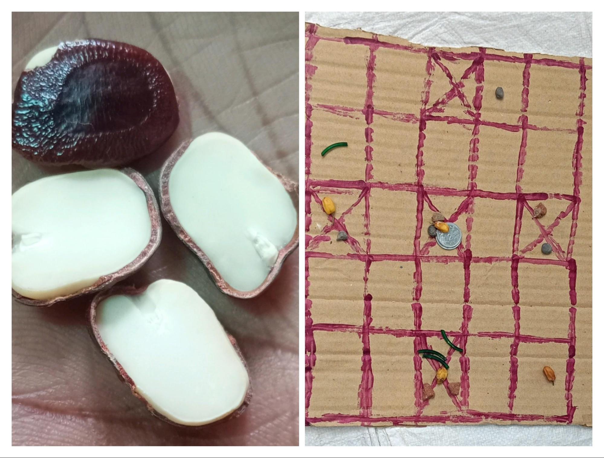 Champol is another traditional game played in villages, often referred to as a local version of the board game Ludo. (Source: CKA Archives)