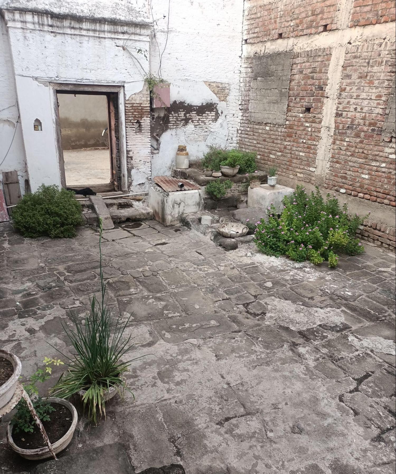 Entrance courtyard with Shahabad tiling, used as a semi-open transitional space within the house. (Source: CKA Archives)