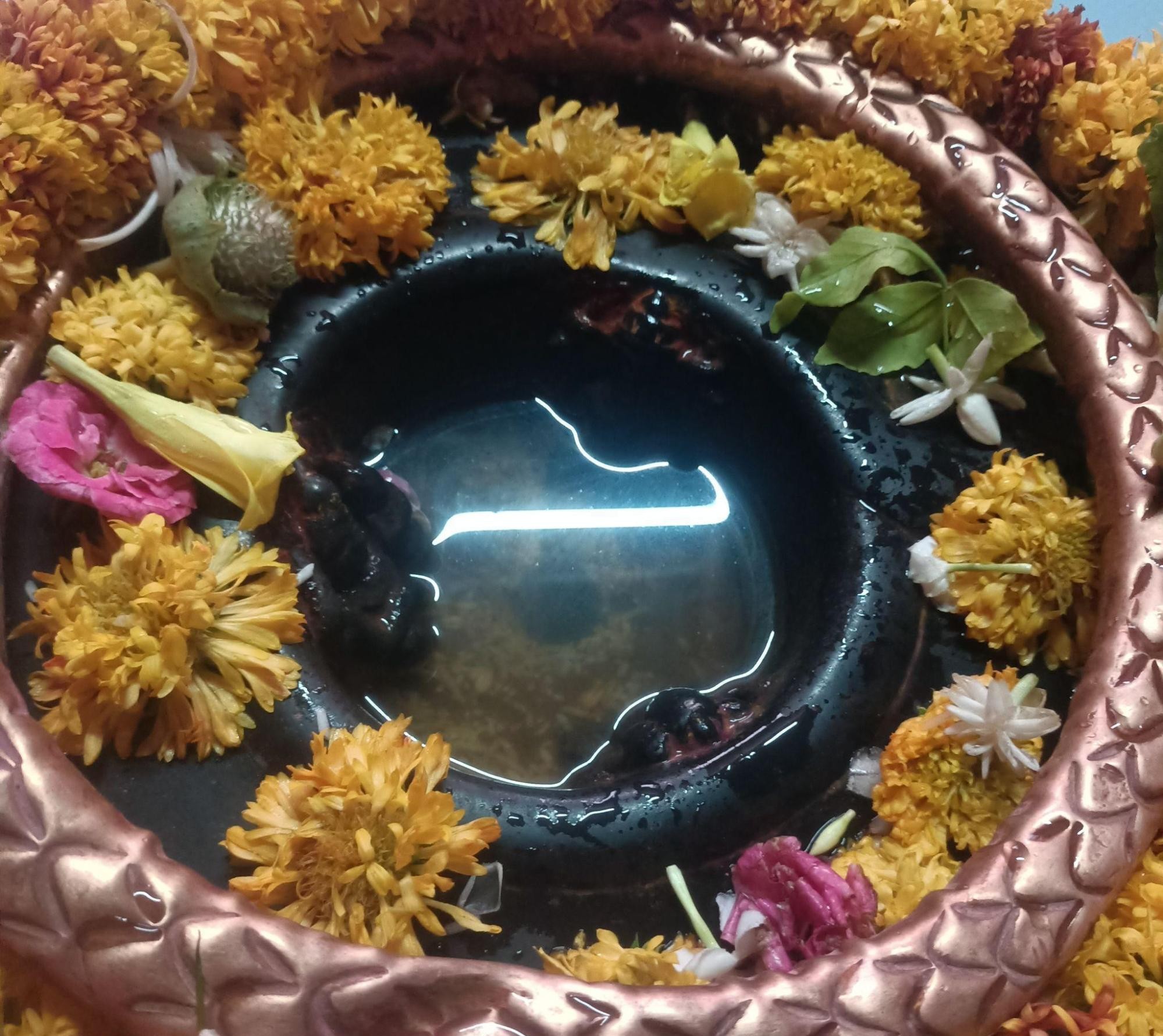 A closeup of the Shivling at the Trimbakeshwar Mandir, revealing what is said to be the small murtis of Vishnu and Brahma beneath it. (Source: CKA Archives)