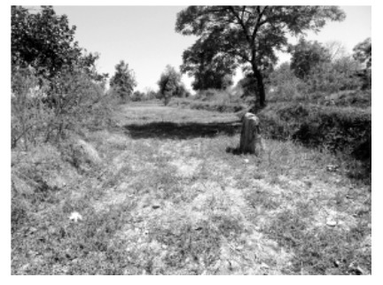 Remains of menhirs and capstones at Sasara,Bhandara district which is part of a cluster of Early Iron Age megalithic sites identified in the Wainganga valley.(Source: Bulletin of the Deccan College Post-Graduate and Research Institute)