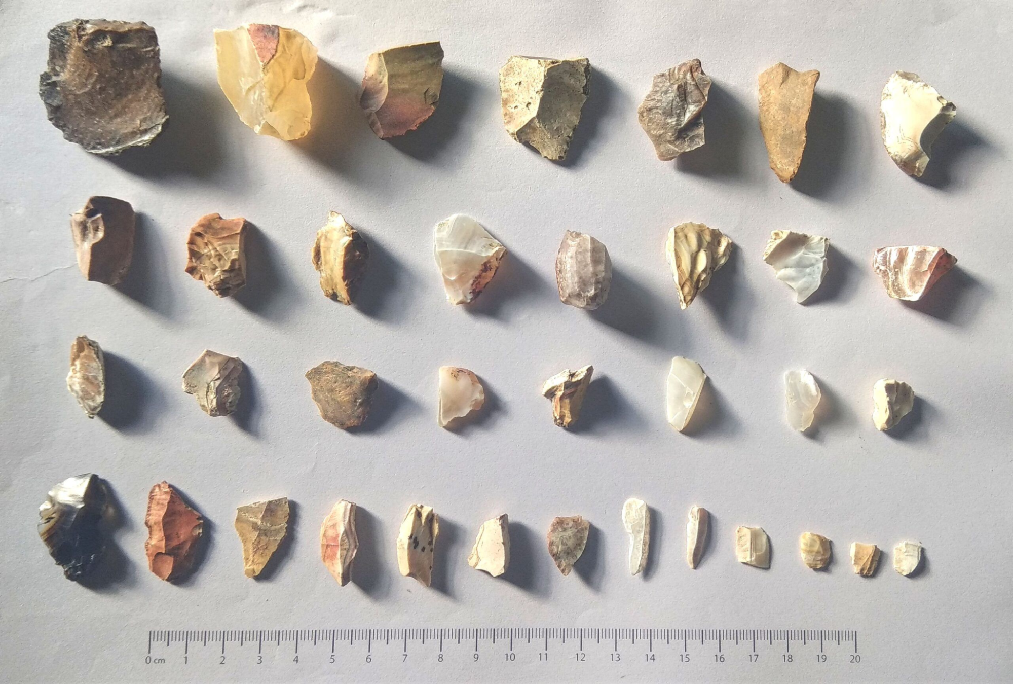 Acheulian and microlithic tools found at Papamiyan Tekdi near the Jharpat River in Chandrapur district.