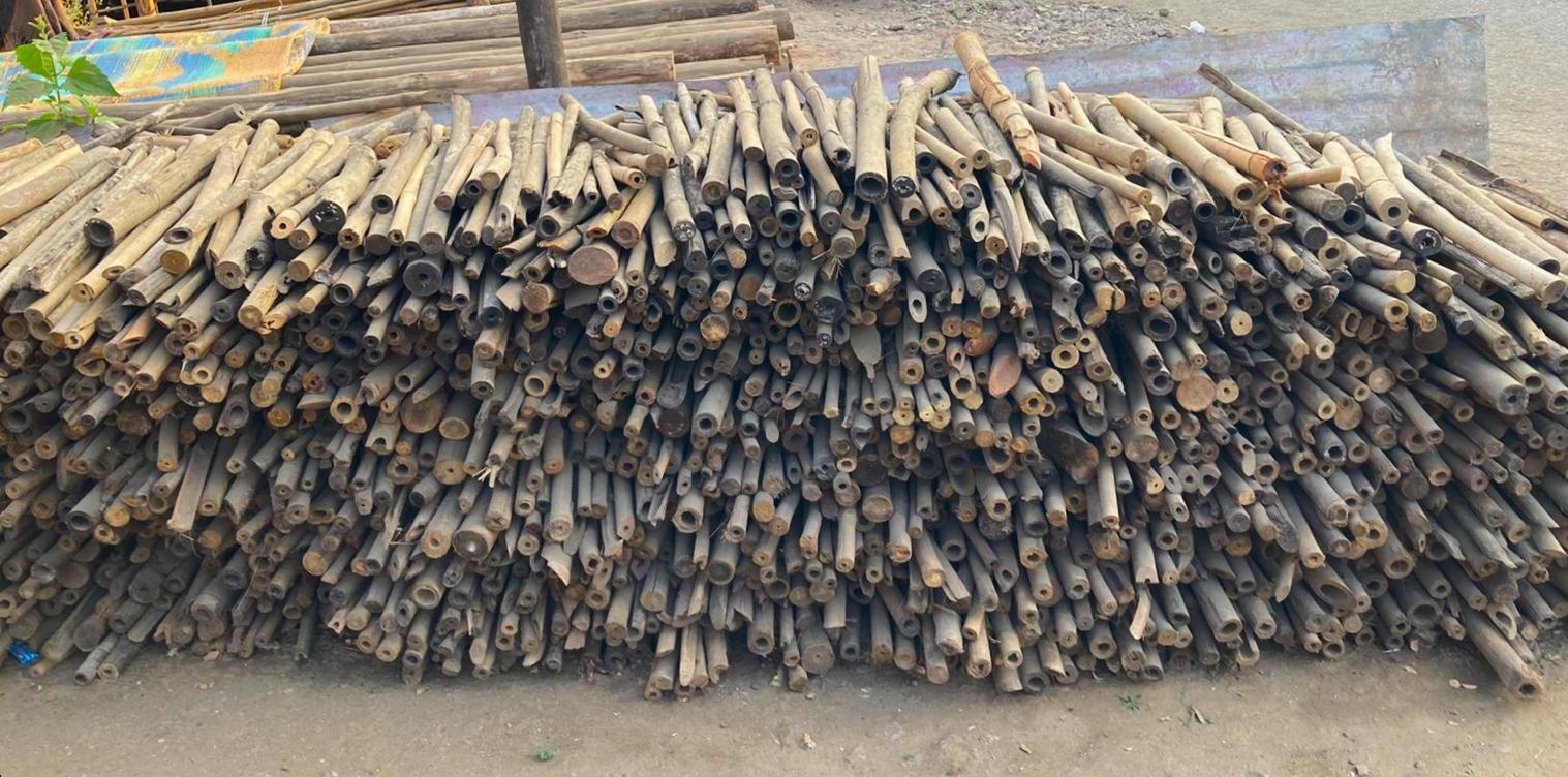 Bamboo stacked along a roadside in Dharashiv, ready for processing. (Source: CKA Archives)