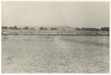 General view of the Kaothe site, identified as a Late Harappan rural settlement in the Kan River Valley, Dhule district. Excavations at the site have revealed evidence of Chalcolithic habitation associated with the wider cultural sphere of post-urban Harappan traditions. Source: Bulletin of the Deccan College Post-Graduate and Research Institute.