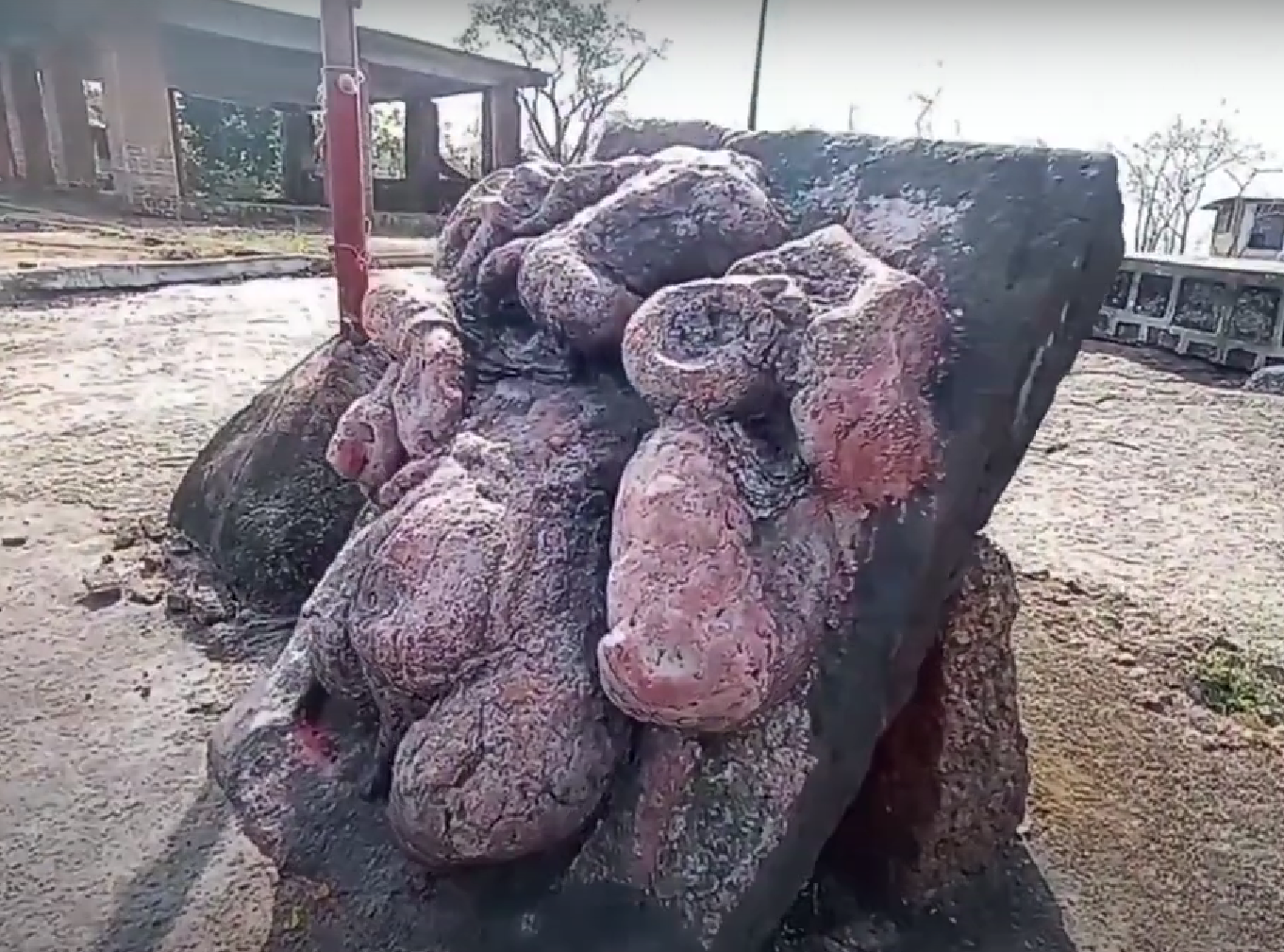 Shri Ganesh sculpture that is carved on a black rock (Source: CKA Archives)