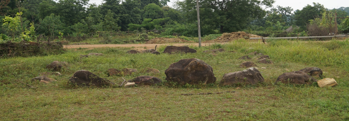 Ancient megalithic structures in Gadchiroli district, showing the characteristic stone arrangements used for burial and memorial purposes.