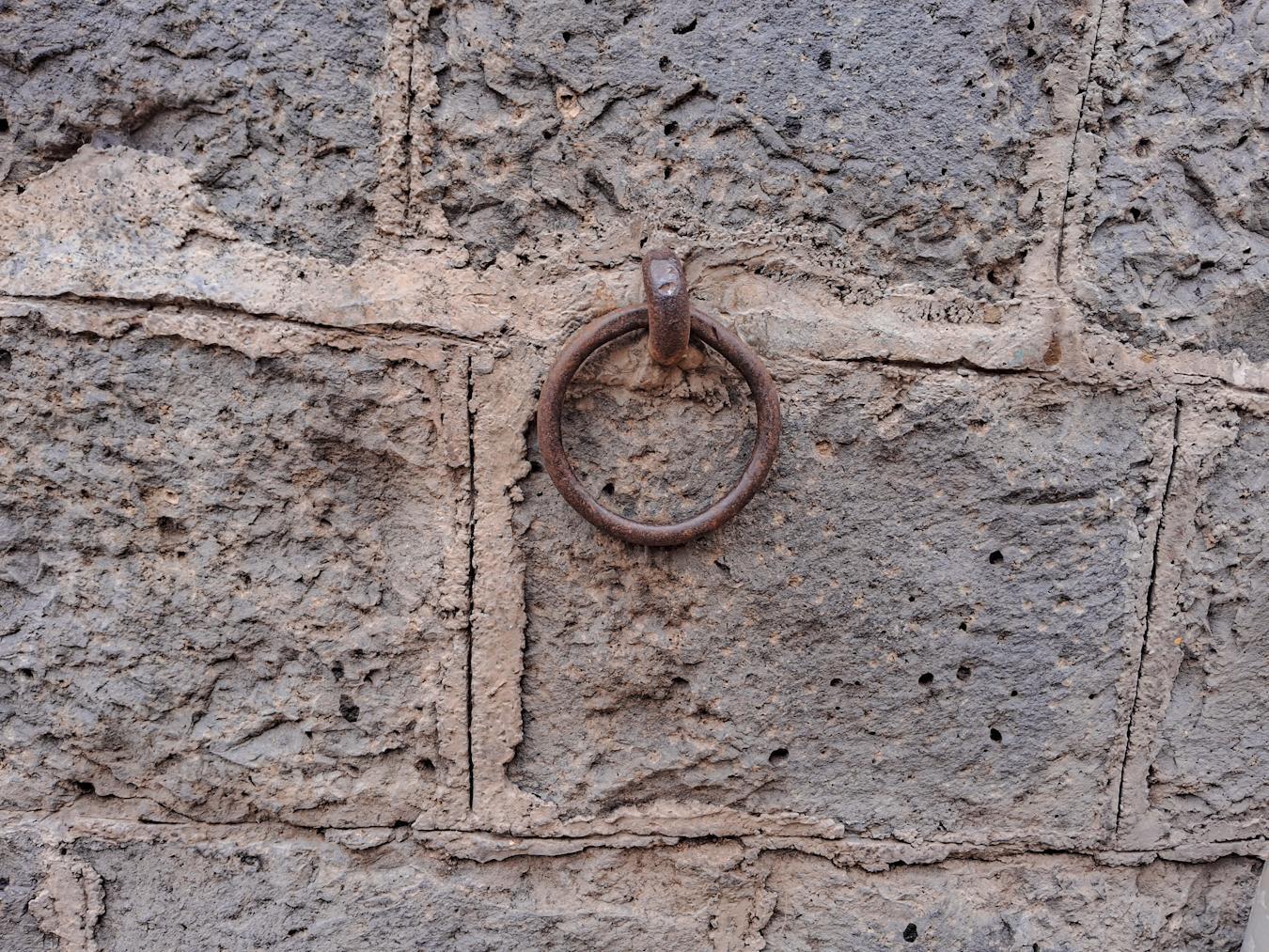 This metal ring is attached to the plinth and is used to tie bulls to. (Source: CKA Archives)