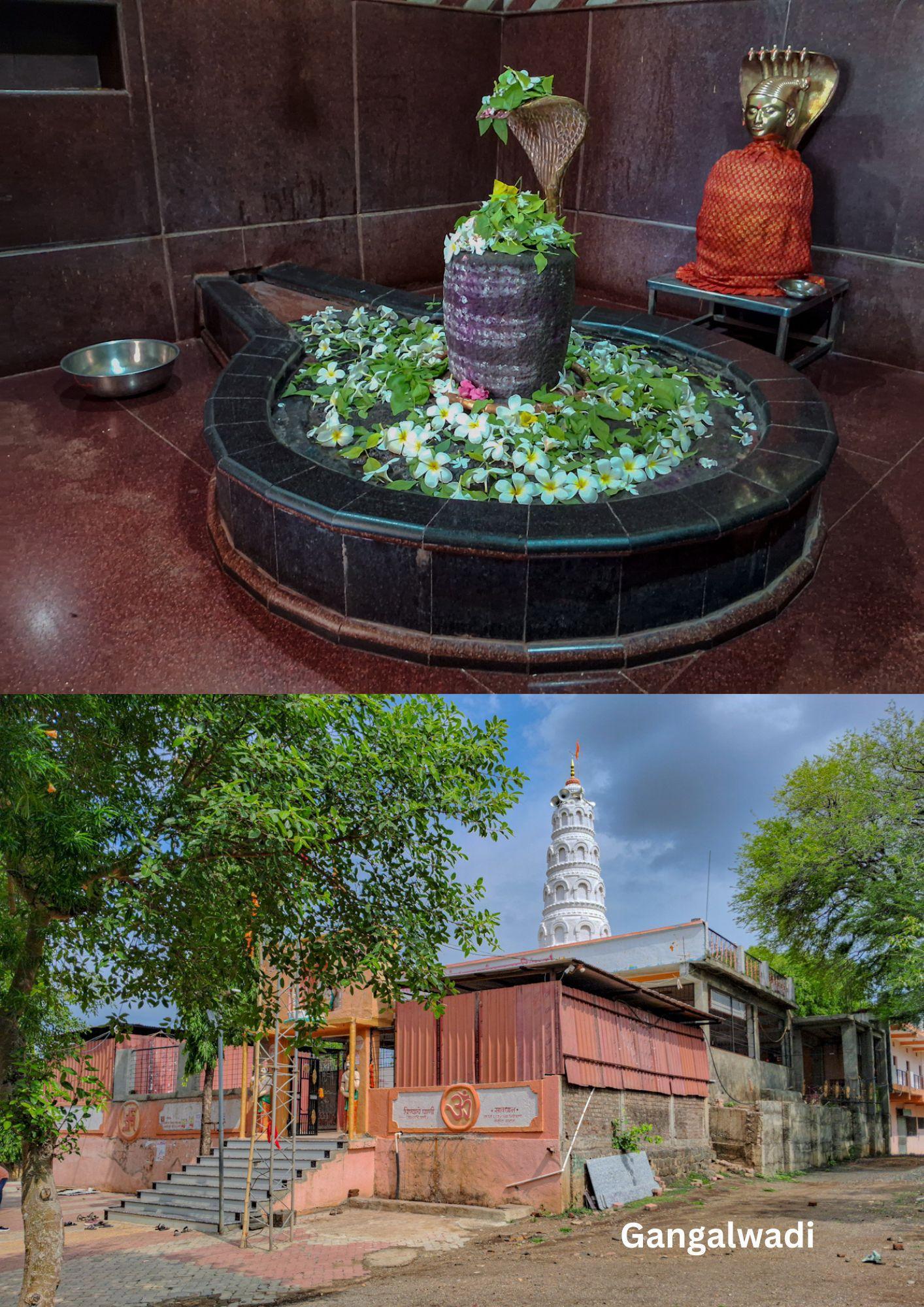 Shri Tirthakshetra Siddhanath Mahadev Sansthan Mandir, Hingoli. (Source: CKA Archives)
