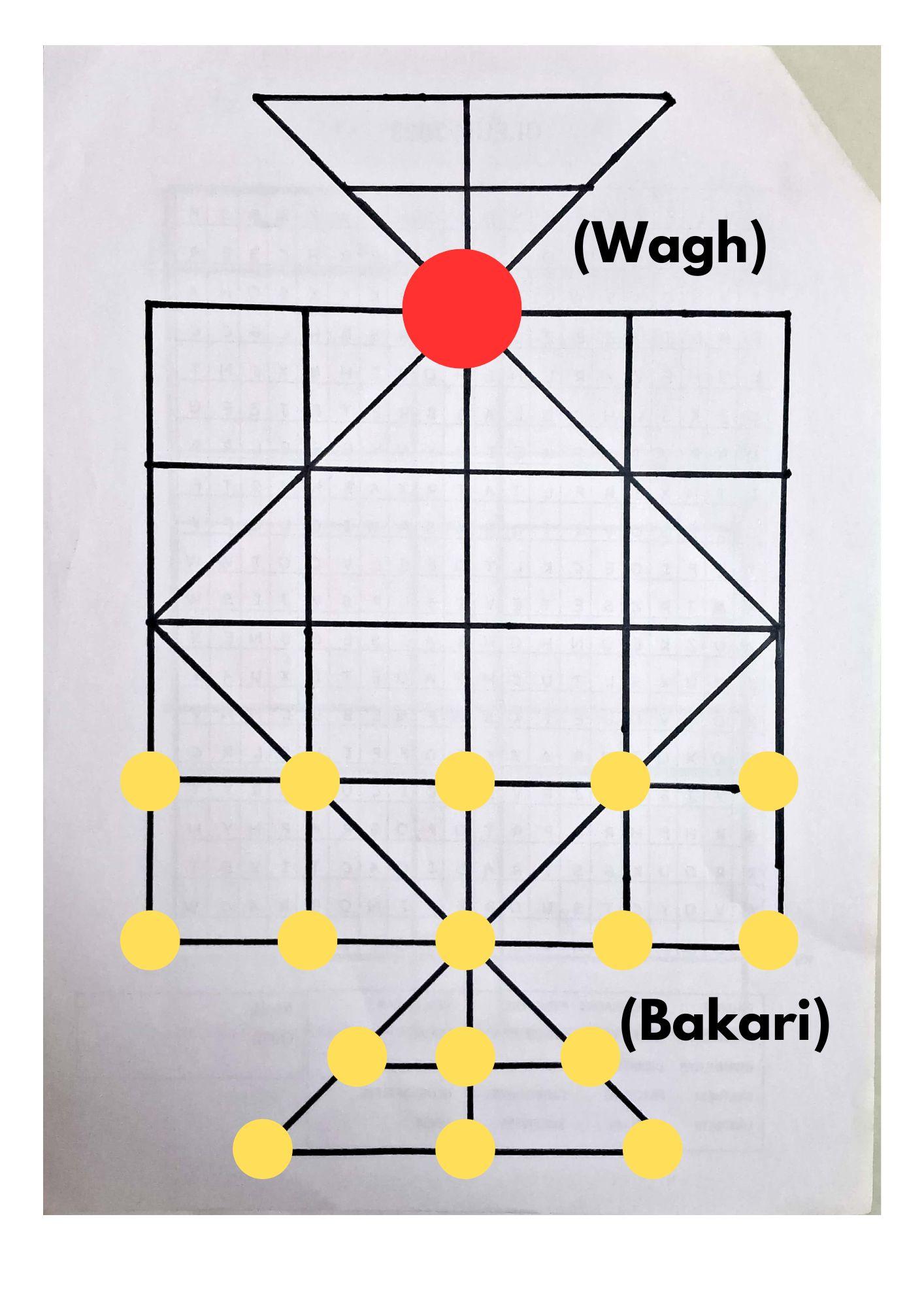 Wagh Bakari is a two-player game where one player controls the Wagh (tiger) and the other has 16 Bakari (goats).