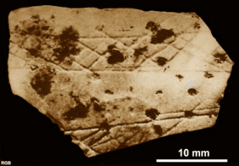 Engraved ostrich eggshell fragment from the Upper Palaeolithic site at Patne, Maharashtra. Dated to around 25,000 years ago, this piece bears a cross-hatched motif incised on its outer surface. It offers rare physical evidence of symbolic practices among early human populations in the Indian subcontinent.Source: Robert G. Bednarik