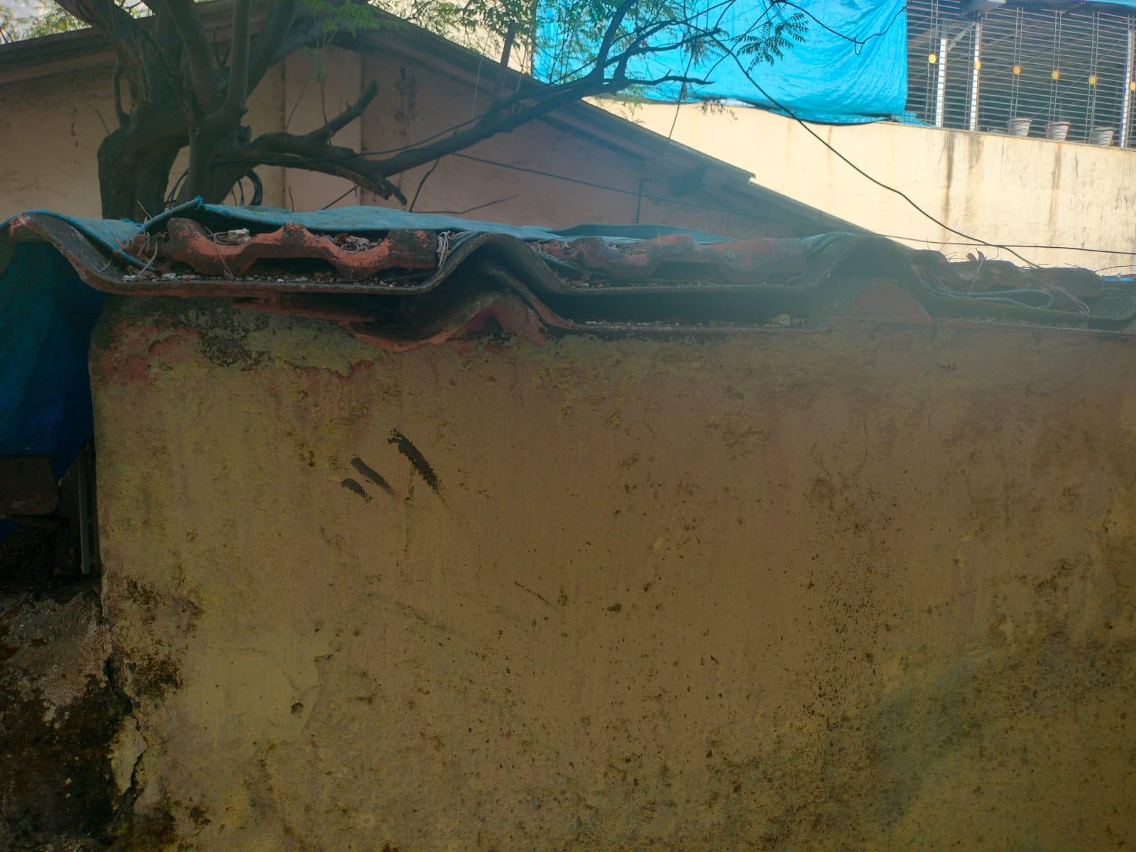 The contrast between the older and newer corrugated sheets; one can see that the older corrugated roofing featured long flat sections between ridges, a design now replaced by continuous wave patterns. (Source: CKA Archives)