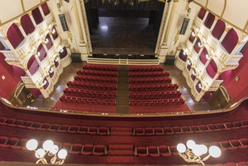 Interior of the Royal Opera House in Mumbai, restored to its original grandeur. A key heritage venue, it hosts a range of performances including theatre, music, and dance.[11]