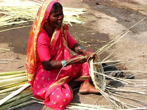 A local artisan selecting bamboo stalks for weaving functional and decorative items in Nandurbar. (Source: CKA Archives)