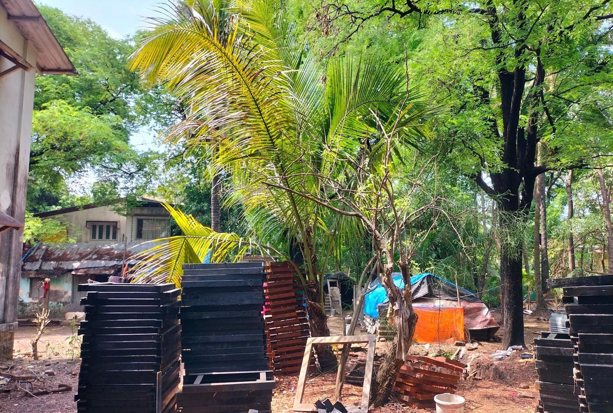 Construction material kept at the back of the house. Some plants can still be seen, eventhoughthe garden was demolished. (Source: CKA Archives)