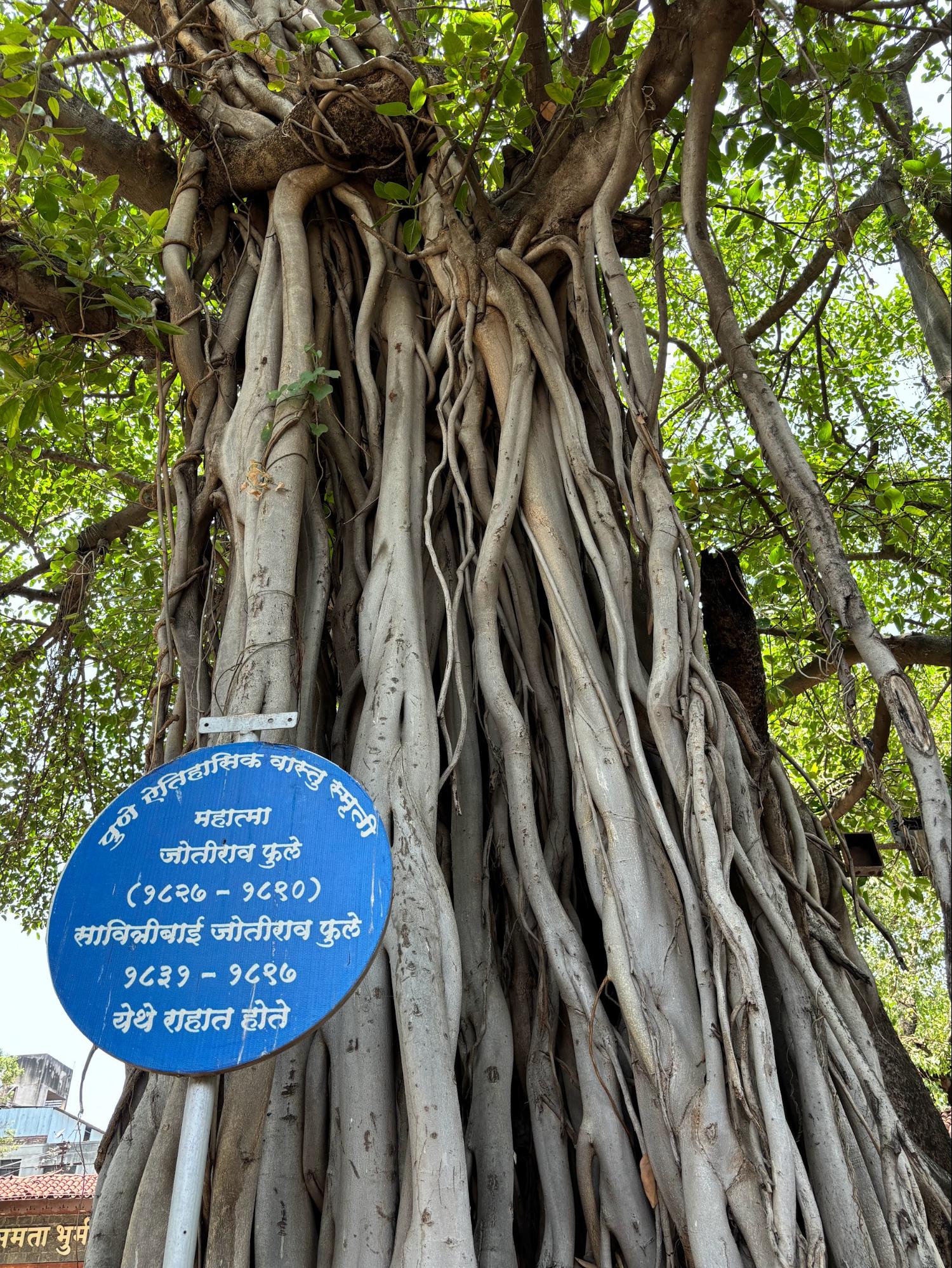 A banyan tree stands tall in the courtyard of Phule Wada. An indicative plaque says the Phule couple lived here within these premises. (Source: CKA Archives)