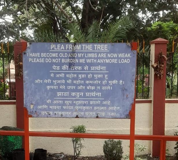 A warning near the Hanuman Mandir asking people not to tie or hang any more bells as branches of the banyan tree have collapsed before due to the weight of the bells. (Source: CKA Archives)