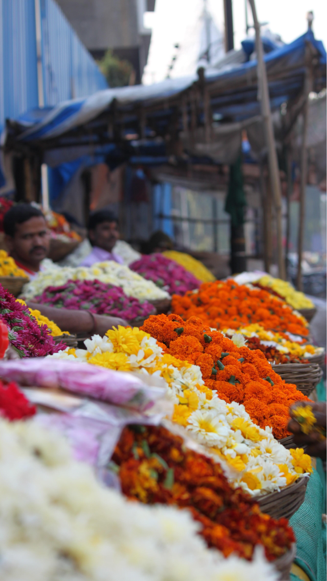 Colorful flower garlands and blooms on sale at Gultekdi Phool Bazaar, Pune’s central wholesale flower market.[6]