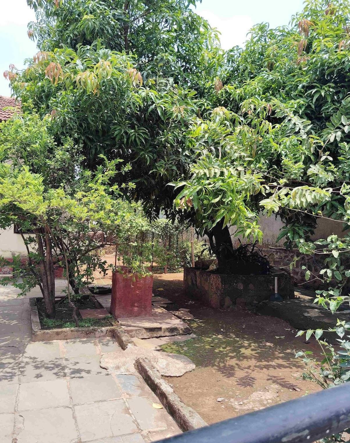Lush garden space surrounding the house, with vibrant trees and healthy plant growth. (Source: CKA Archives)