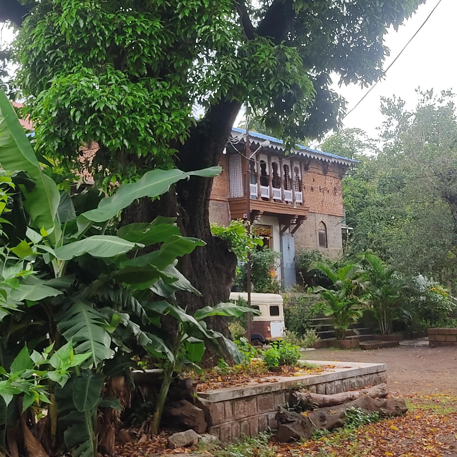 The front landscape features large trees and a low stone edging. This border acts as both seat and tree guard.(Source: CKA Archives)
