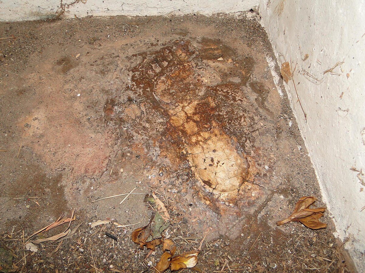 Footprint of Shivaji Maharaj embedded in stone at Sindhudurg Fort, commemorating his presence at the site.[5]
