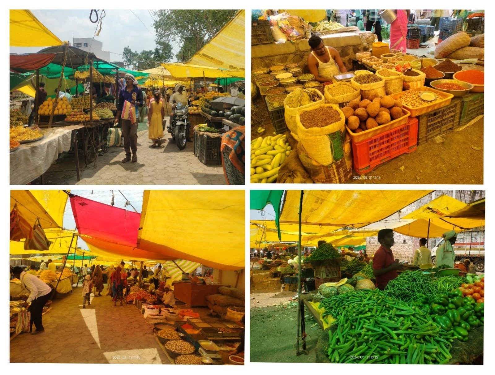 Scenes from Malegaon Market in Washim. Vendors are trading grains, oilseeds, and livestock such as goats and oxen. (Source: CKA Archives)