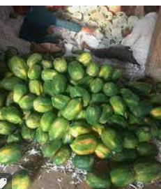 Papaya (Source: CKA Archives)