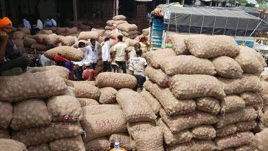 Ghodegaon Kanda market in Nevasa APMC. (Source: CKA Archives)