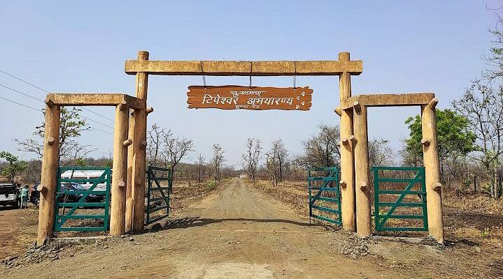 The sanctuary is rich in wildlife, hosting tigers, leopards, jungle cats, bears, wild dogs, deer, sambars, and many other animals. The best time to visit the park is between February and May
