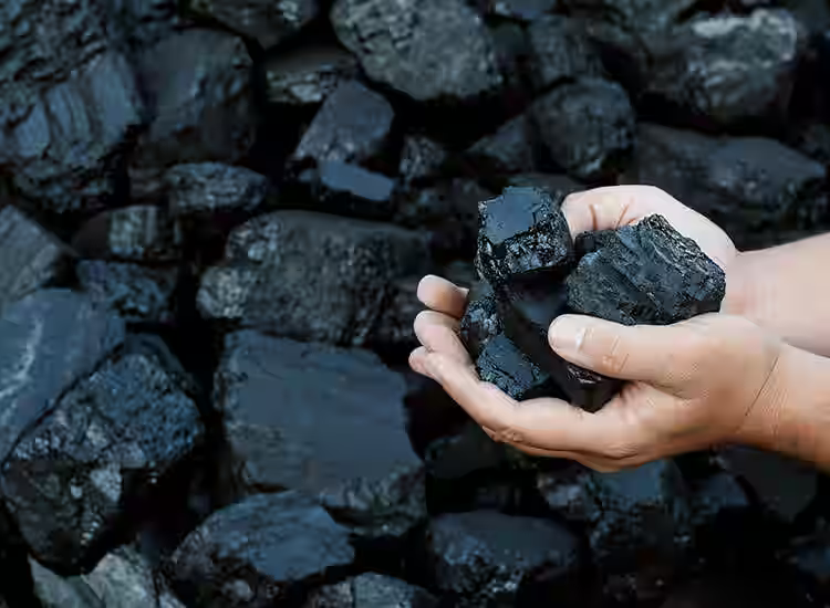 Gondia district possesses significant mineral resources, with coal being one of its most important mineral deposits. The coal-bearing areas are primarily located in the northern parts of the district, where deposits are associated with Gondwana formations. These coal seams vary in thickness and quality, providing an important energy resource for the region. The coal is primarily of sub-bituminous to bituminous quality, suitable for thermal power generation and industrial use.