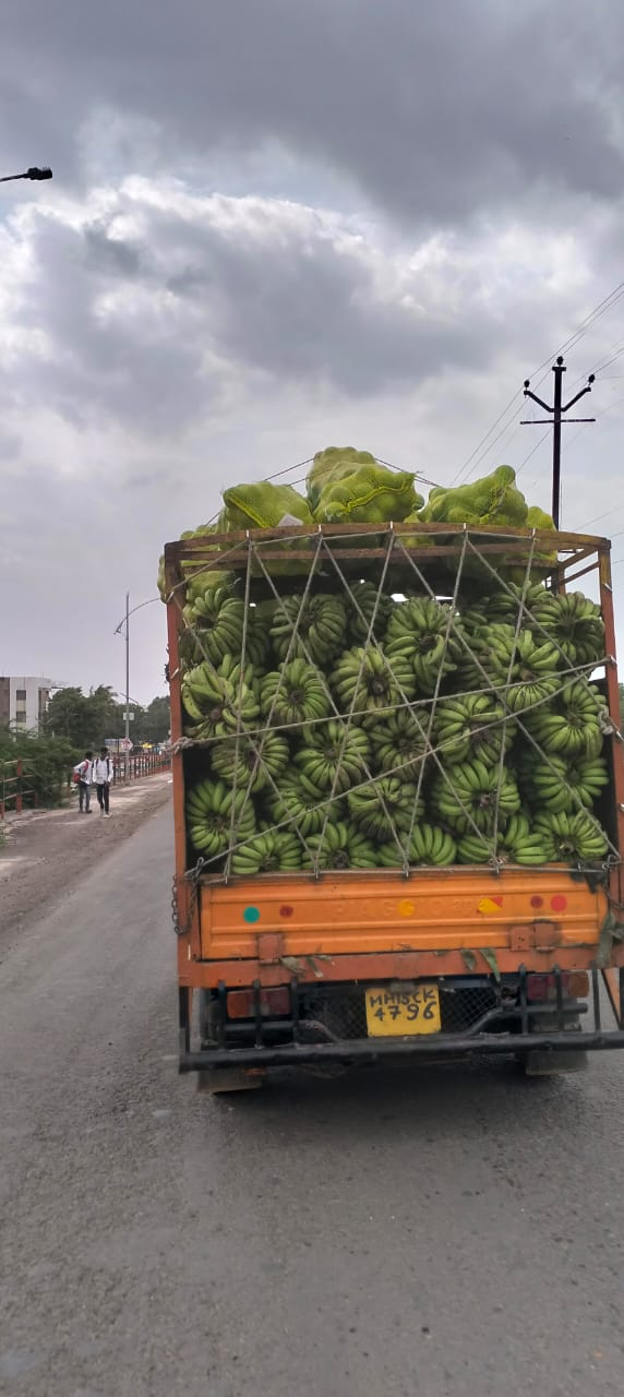 A pickup truck filled with banana bunchesisheading to the market in Chalisgaon. (Source: CKA Archives)