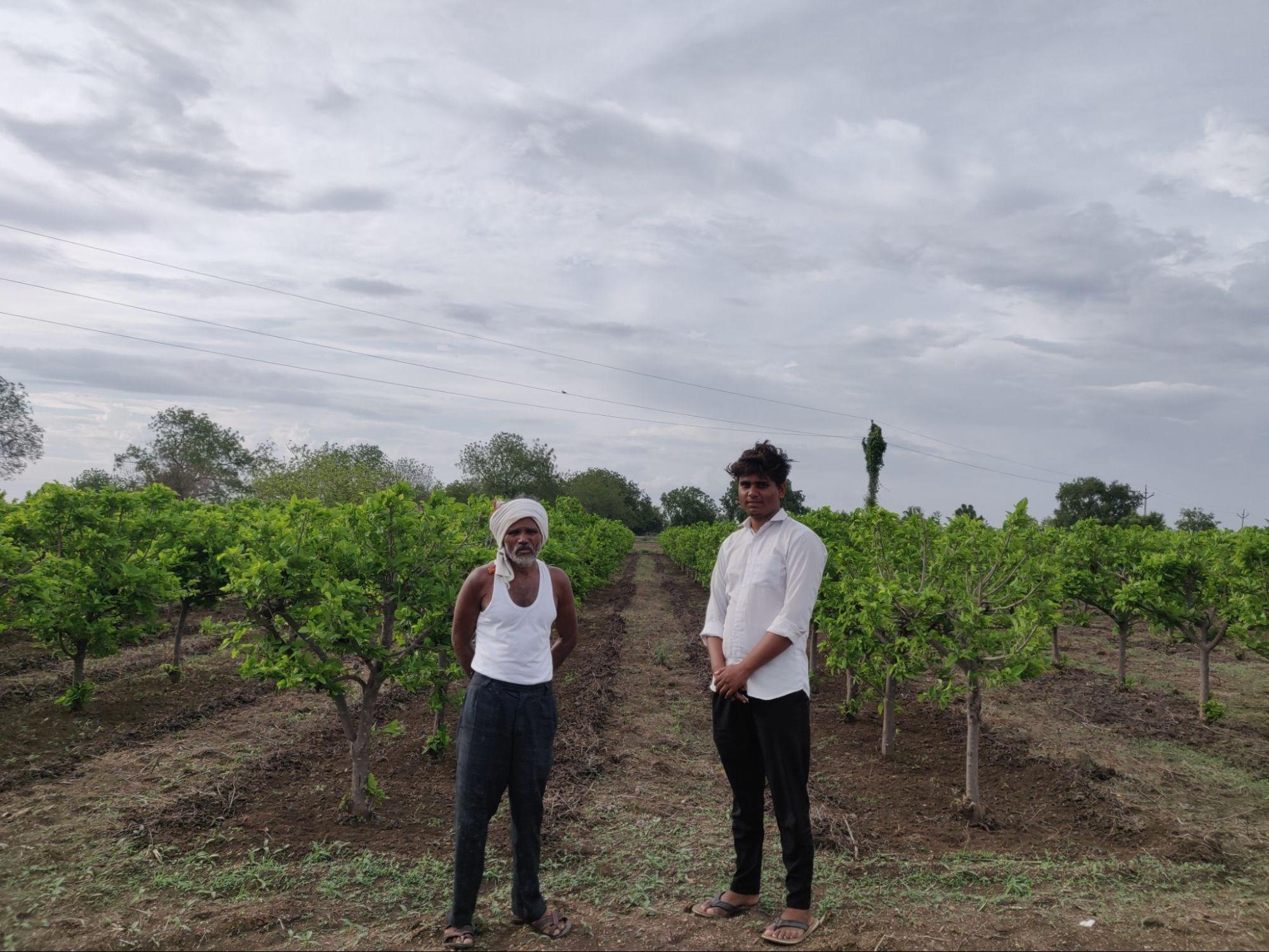 Local Farmers in their Orchard of Custard Apple (Sitaphal). (Source: CKA Archives)