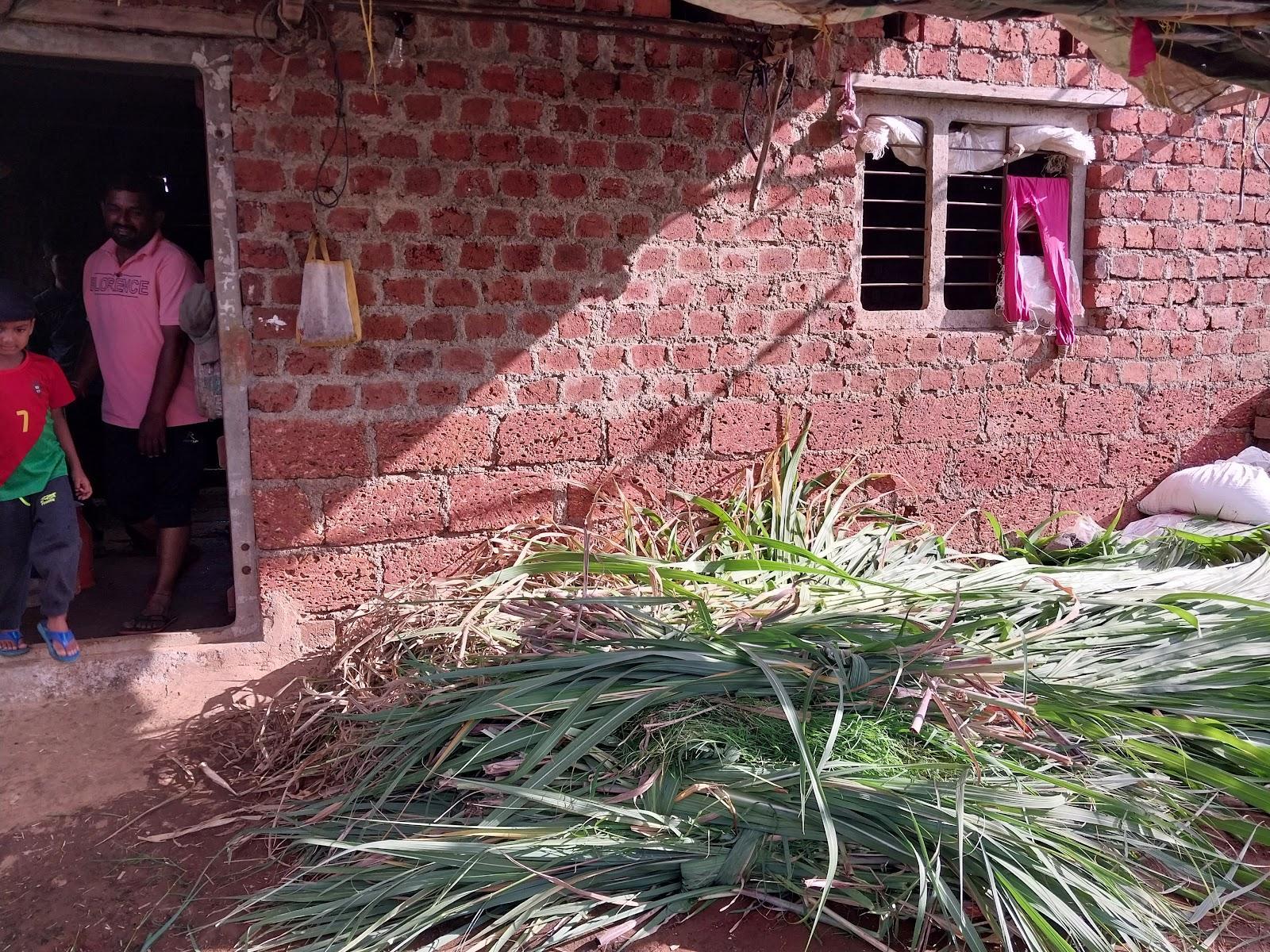 Bhara heaps outside Gotha used as fodder at Balinge village (Source: CKAArchives)