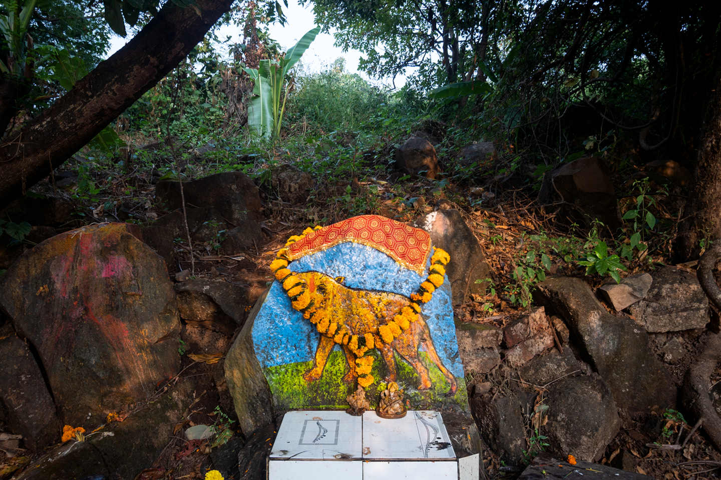 Image Credits: Kartik Chandramouli/Scroll