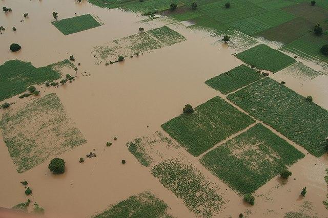 Submerged fields in Nanded in 2006.