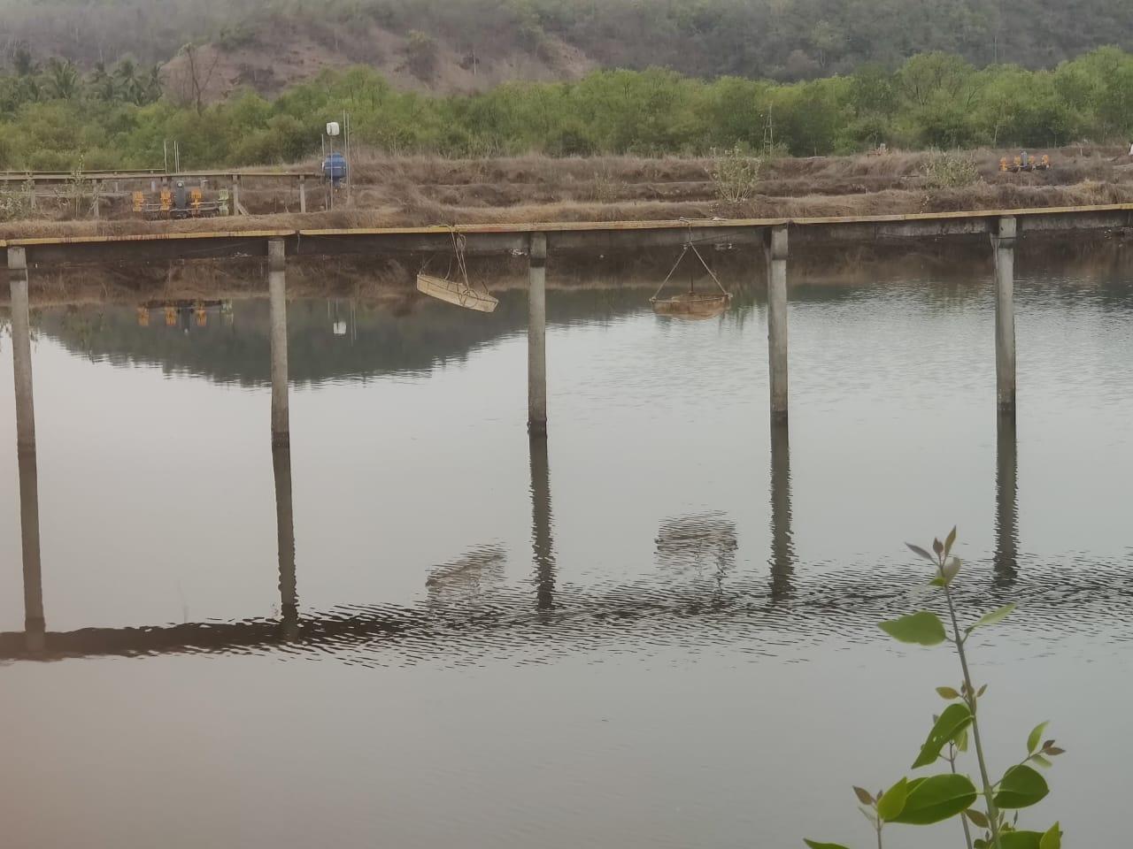Another View of the Prawn Farm.(Source: CKA Archives)