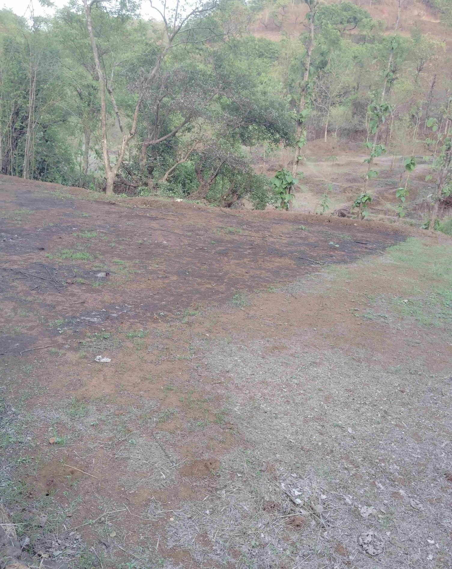 A piece of farmland is called “Chonda’ in the local tongue. The land above has been made ready for cultivation after Bhajavni. (Source: CKA Archives)