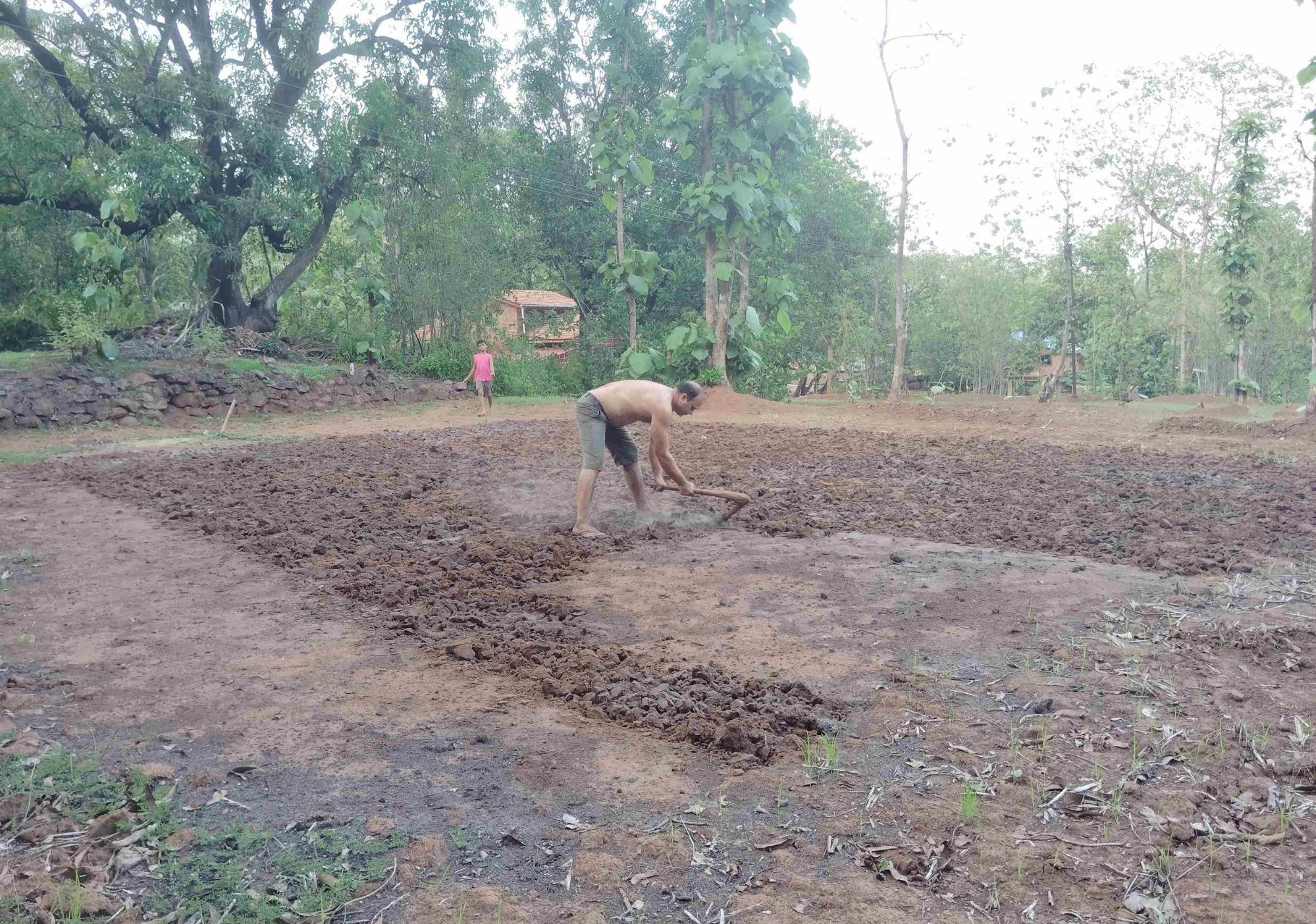 First Nagarni (plowing) is carried out on a smaller part of the larger field. (Source: CKA Archives)