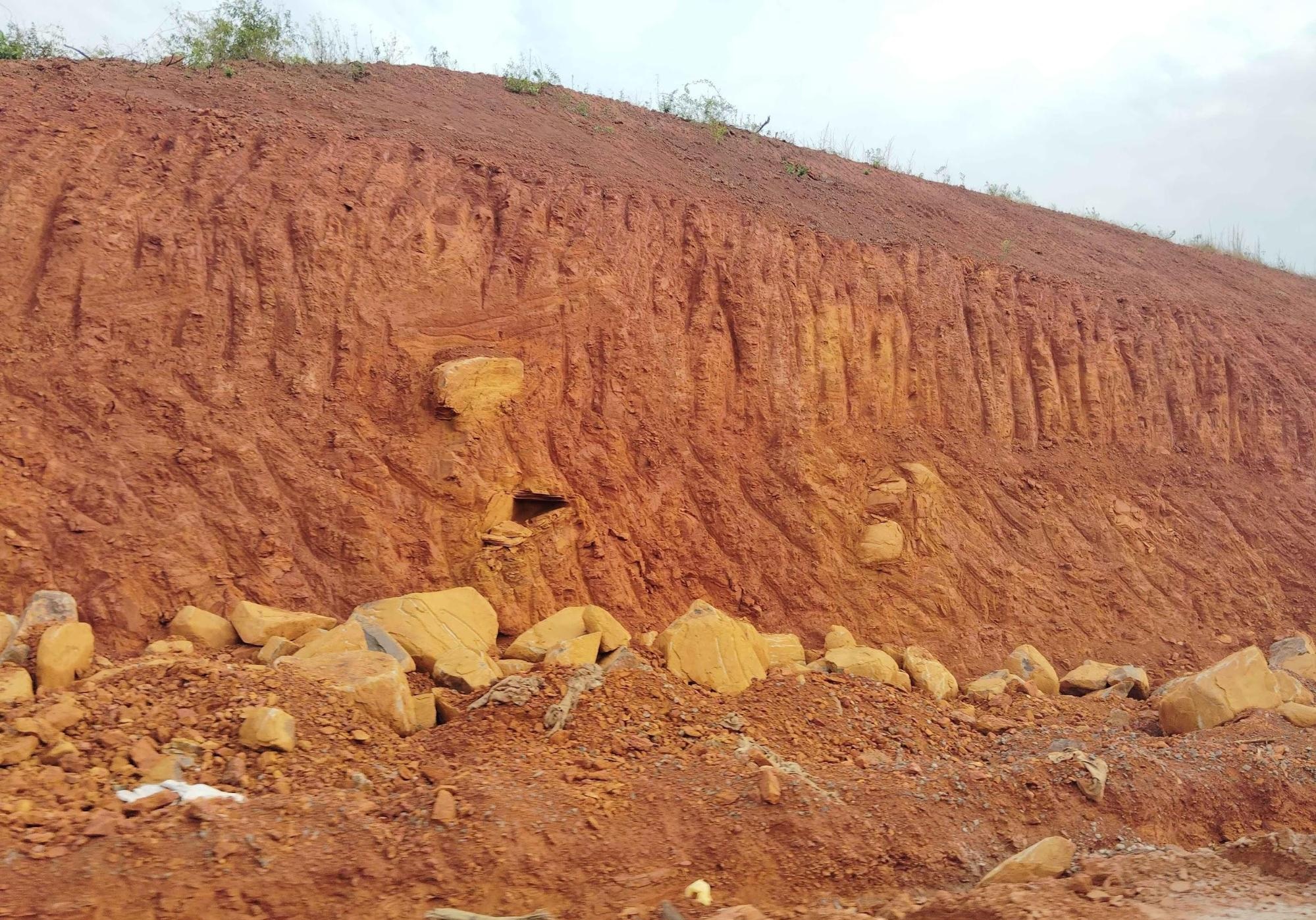 Laterite Soil is predominantly found in the district. (Source: CKA Archives)