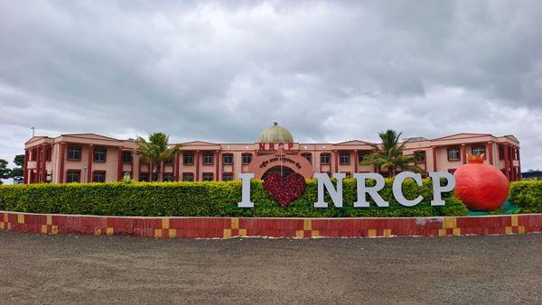 National Research Centre on Pomegranate, Solapur