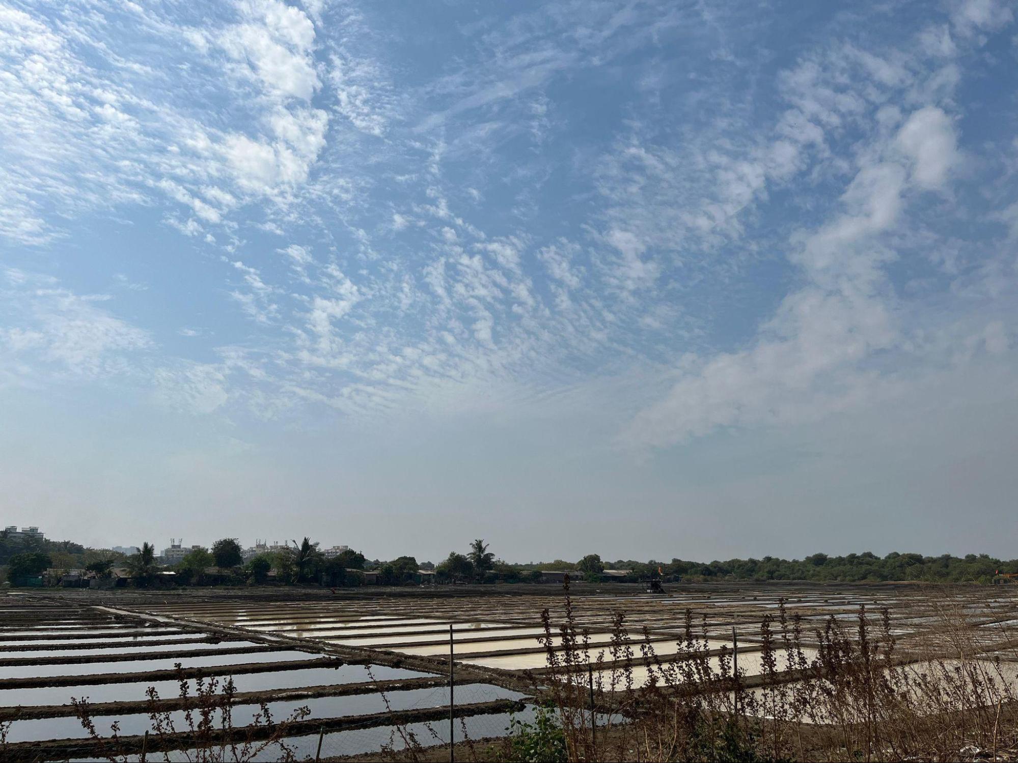 Modern-Day Salt Pans in Bhayandar. (Source: CKA Archives)